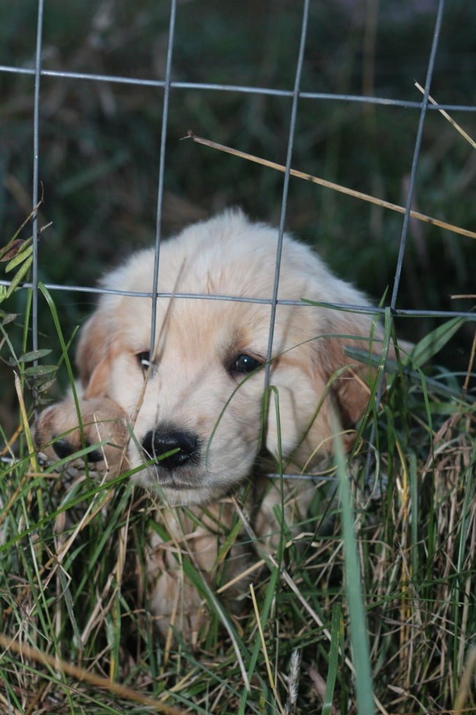 "Please play with me!"