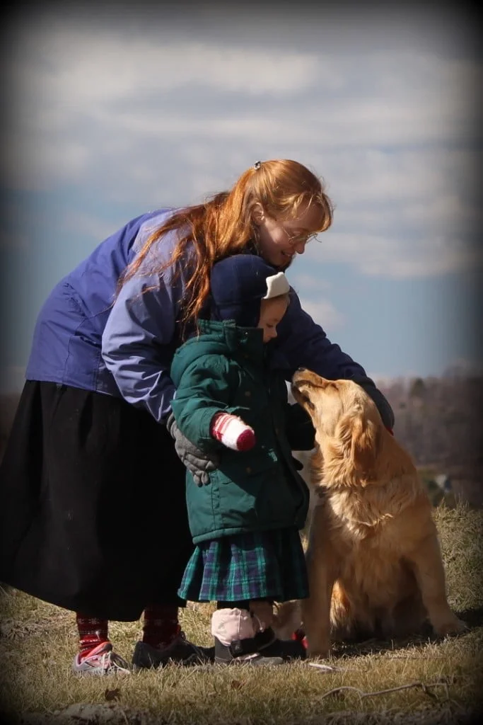 Teaching young children how to handle golden retrievers is very important
