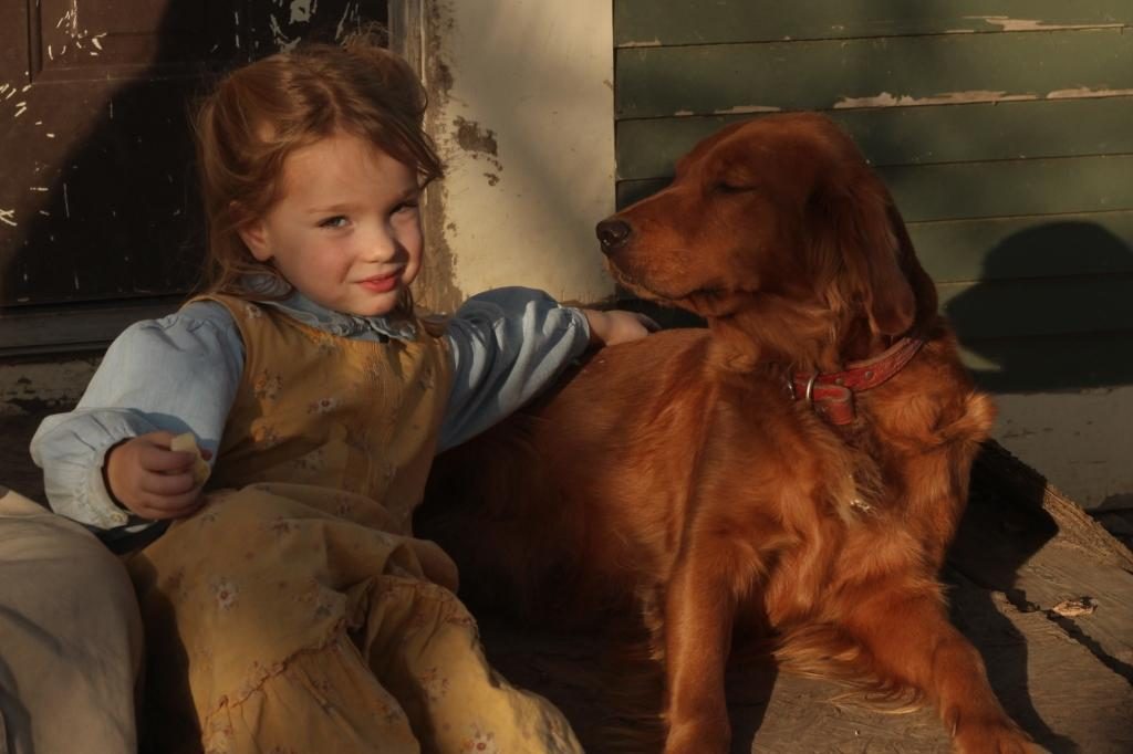 golden-retirever-love-attention-from-young-and-old