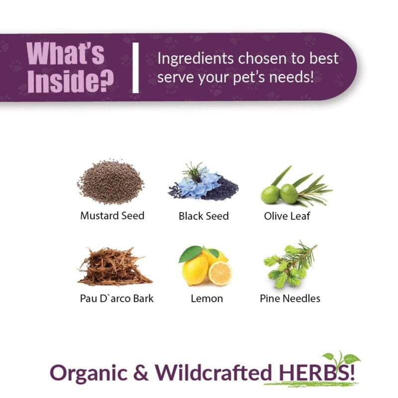 Amber NaturalZ UTR™ (Urinary Tract Support) - Image 3