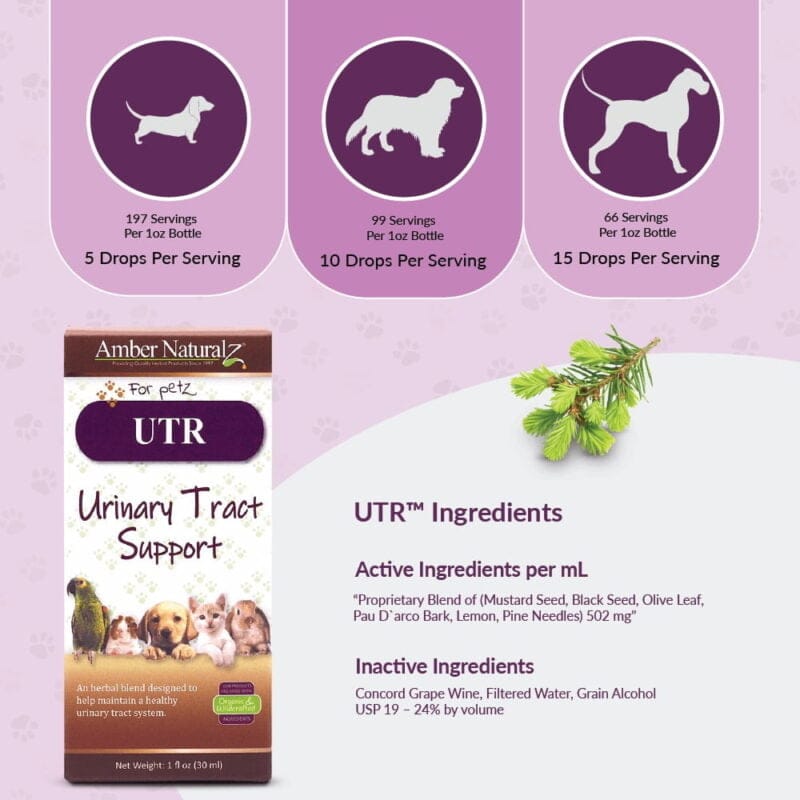 Amber NaturalZ UTR™ (Urinary Tract Support) - Image 4