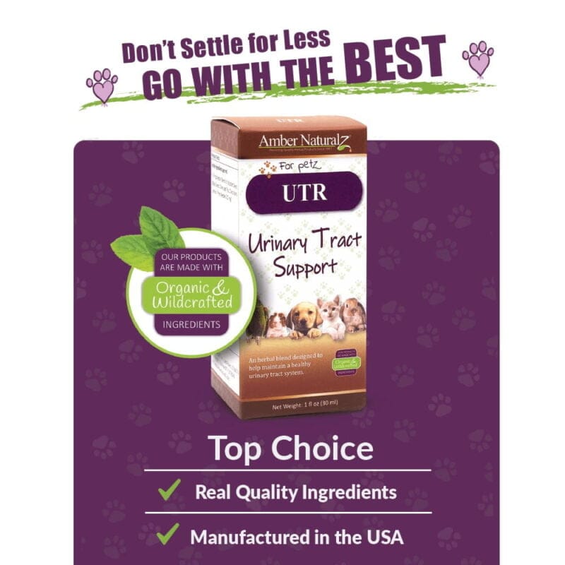 Amber NaturalZ UTR™ (Urinary Tract Support) - Image 5