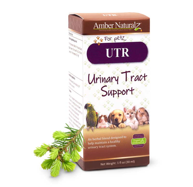 Amber NaturalZ UTR™ (Urinary Tract Support) - Image 2