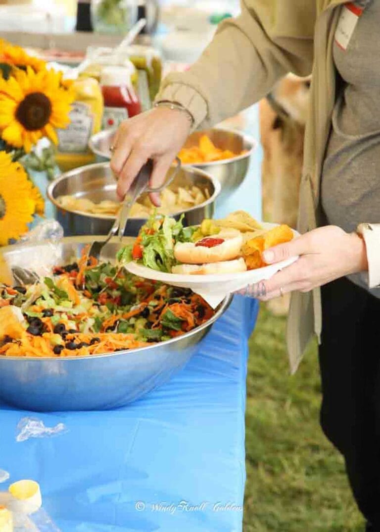 AKC-Windy-Knoll-Goldens-Top-Line-Golden-Retriever-Puppies-for-Sale-in-Maineweb-vertical