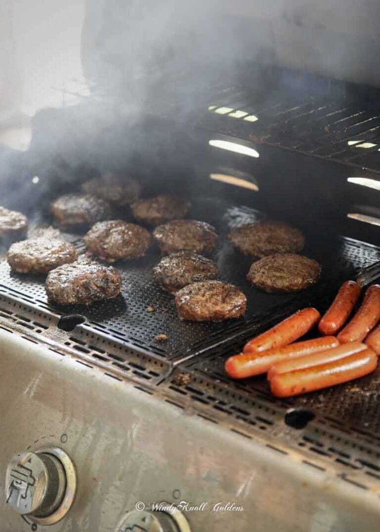 Golden-Retriever-Puppies-for-Sale-in-NH-Windy-Knoll-Goldens-Best-Golden-Retriever-Breeders-in-NH-web-vertical