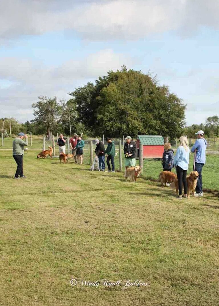 SRW56461-web-vertical