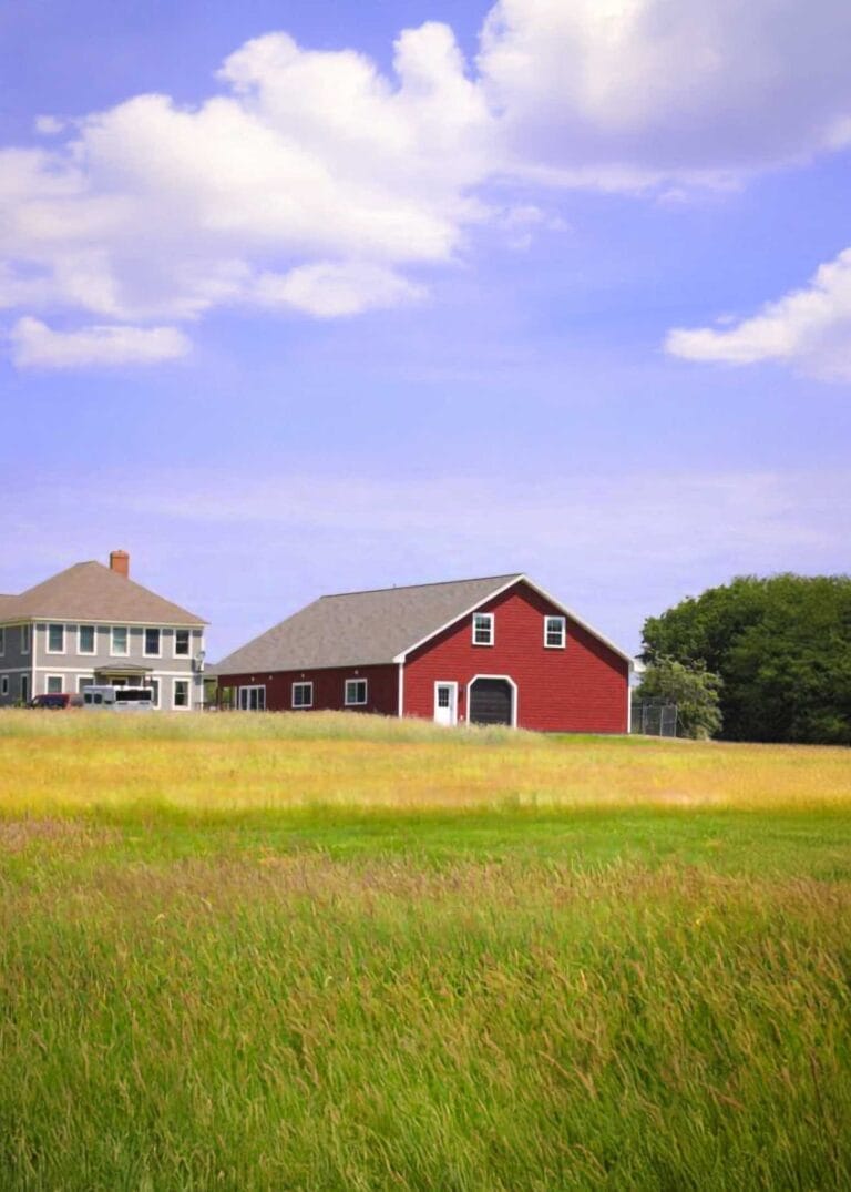 Windy-Knoll-Goldens-Kennel-Facilities-768x512-web-mobile-vertical