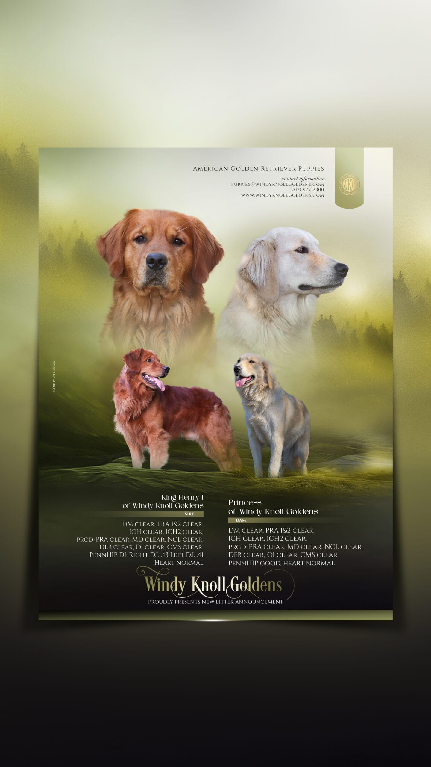 Upcoming Golden Retriever Litter