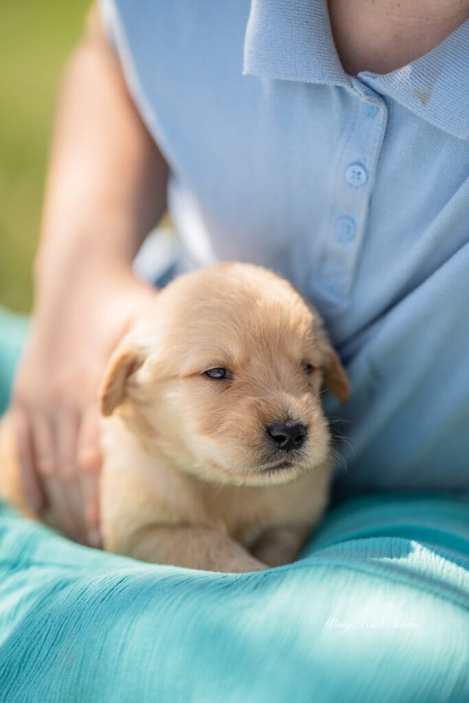 kids snuggling puppies