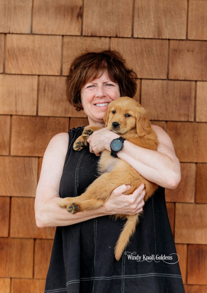 puppy pickup day at Windy knoll goldens