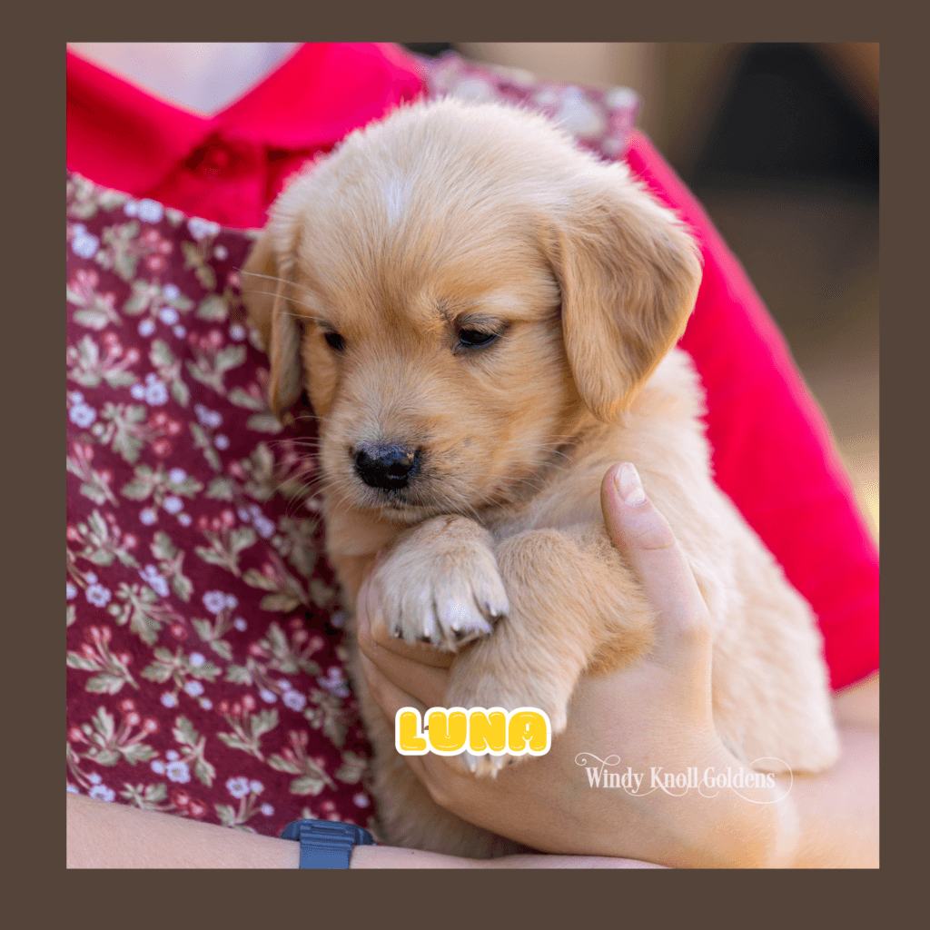litter photos