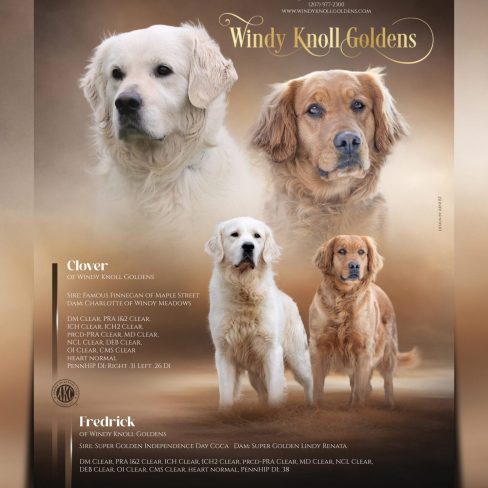 Fredrick & Clover_fb_ig story