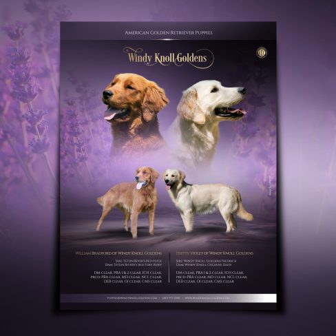 Violet & Brad_square